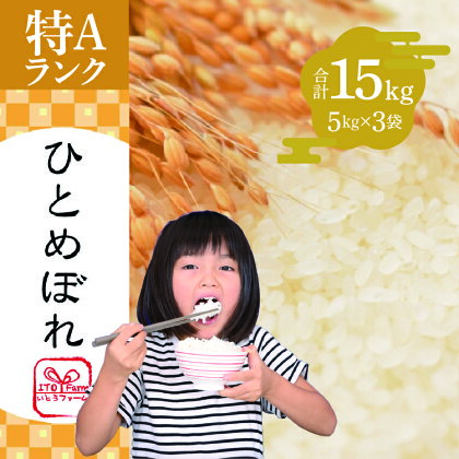 いとうファームの令和5年産「ひとめぼれ」15kg（5kg×3袋）　【 お米 精米 白米 ブランド米 銘柄米 ご飯 おにぎり お弁当 和食 産地直送 】　お届け：2023年10月下旬から順次発送