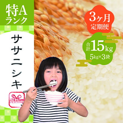 【3ヶ月定期便】いとうファームの令和5年産「ササニシキ」15kg　【定期便・ お米 精米 白米 ブランド米 銘柄米 ご飯 おにぎり お弁当 和食 産地直送 】　お届け：2023年10月下旬から順次発送