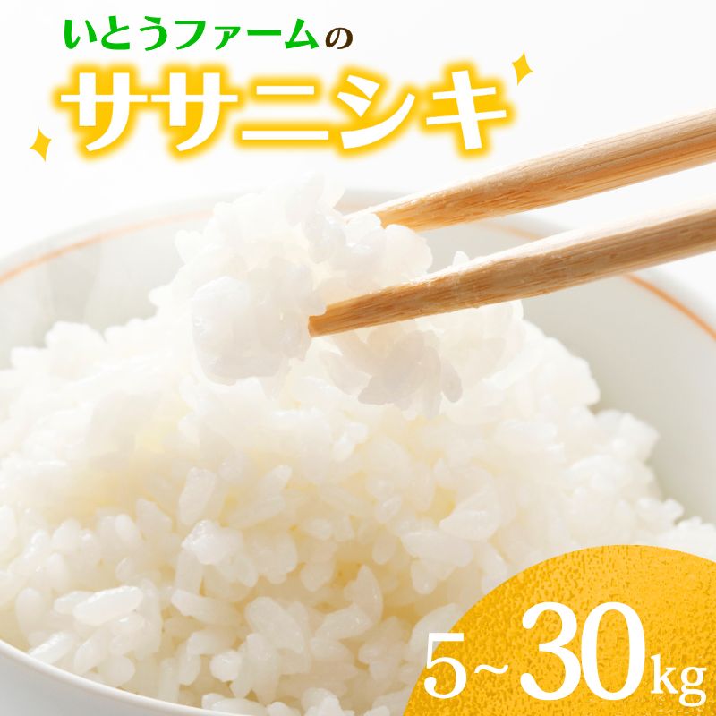 ☆総合ランキングイン☆ ≪新米予約≫ いとうファームの 令和7年産 ササニシキ 5~30kg &うれしい定期便 選べる容量 | 定期便 米 お米 こめ 白米 ご飯 ライス ササニシキ 産地直送 数量限定 ブランド米 送料無料 ※2025年11月より順次発送予定