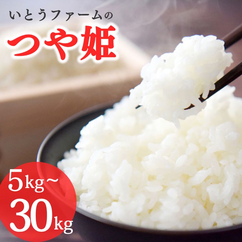 ≪新米予約≫ いとうファームの 令和7年産 つや姫 5〜30kg &うれしい定期便 選べる容量 | 定期便 米 お米 こめ 白米 ご飯 ライス つやひめ 産地直送 数量限定 ブランド米 送料無料 ※2025年11月より順次発送