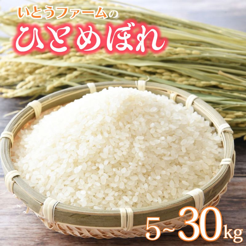 ☆総合ランキングイン☆ ≪新米予約≫ いとうファームの 令和7年産 ひとめぼれ 5~30kg & うれしい定期便 選べる容量 | 定期便 米 お米 こめ 白米 ご飯 ライス ひとめぼれ 産地直送 数量限定 ブランド米 送料無料 ※2025年11月より順次発送予定