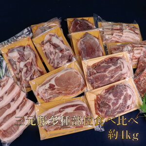 【ふるさと納税】 国産 豚肉 涌谷町産 三元豚 多種部位 食べ比べセット 約4kg 豚肉 豚 ぶた肉 三元豚 ロース スライス 細切れ こま切れ もも肉 バラ肉 国産豚 肉 切り落とし 小分け 冷凍 焼き肉 BBQ 冷しゃぶ 肉じゃが 豚丼 生活応援 宮城県 東北 送料無料
