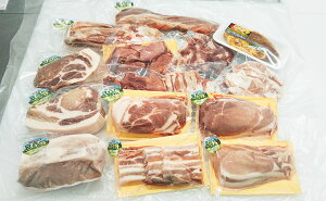 【ふるさと納税】宮城県涌谷町産三元豚ブロックと焼肉セット 【バラ・牛肉・モモ・お肉・牛肉・ロース】