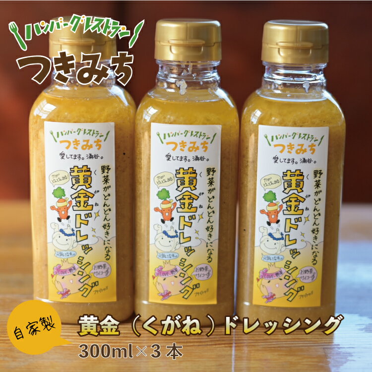 【ふるさと納税】自家製 黄金（くがね）ドレッシング 300ml×3本　【 調味料 味付け サラダ 魚料理 肉...