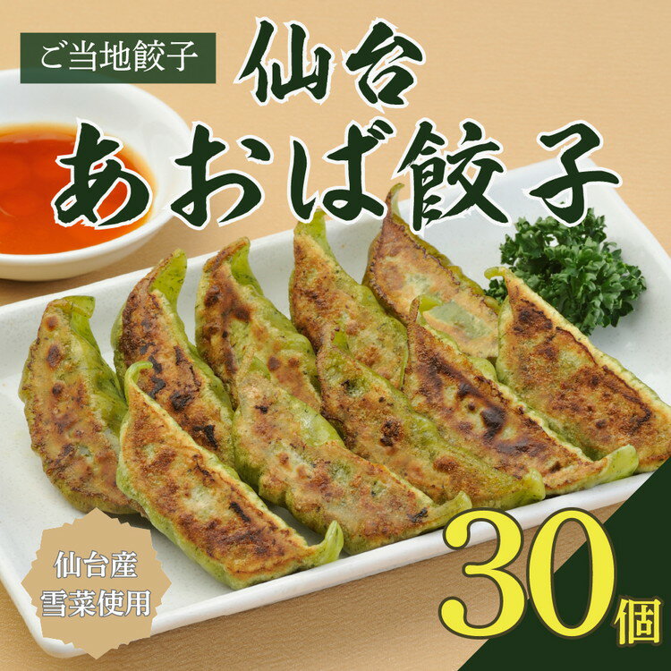 【ふるさと納税】仙台あおば餃子　30個入