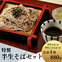 【ふるさと納税】特製 半生そばのセット プレーン 220g×2 & ごま入り 220g×2 / 蕎麦 そば 生そば 麺 麺類 セット 食べ比べ 送料無料