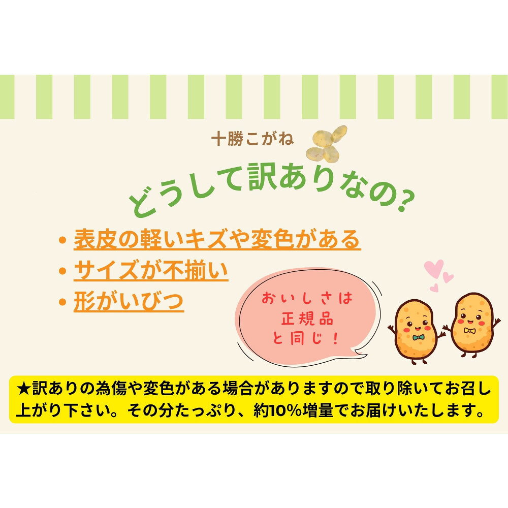 宮城県美里町の画像3