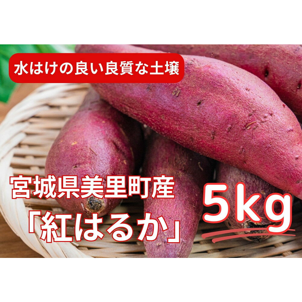 34位! 口コミ数「0件」評価「0」甘くてしっとり★さつまいも(紅はるか)5kg | 美里町 甘くてしっとり さつまいも 紅はるか 旬の味覚 自然の甘さ おやつ ふるさと納税