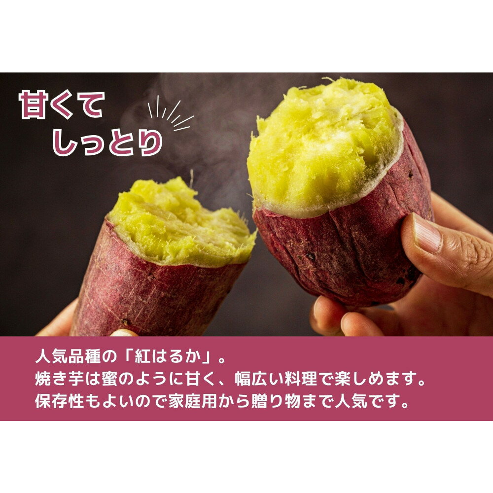 宮城県美里町の画像2