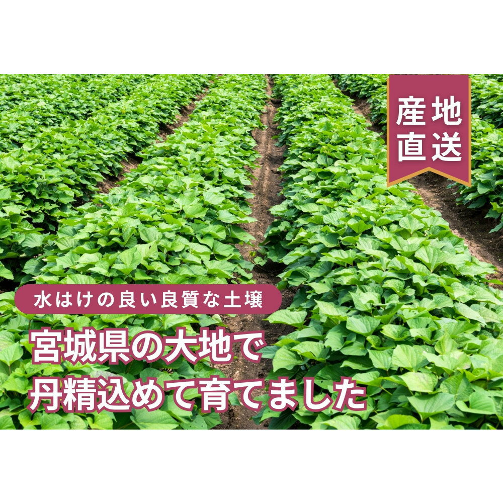 宮城県美里町の画像3