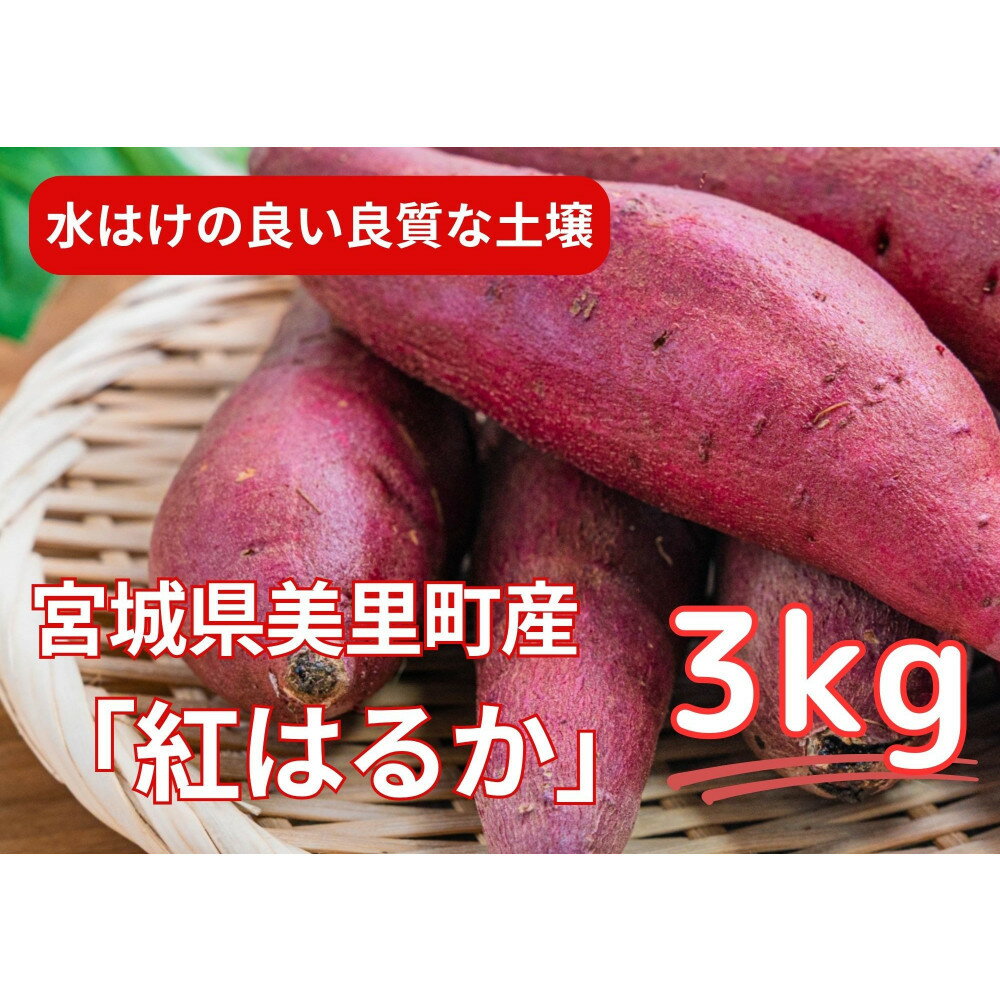 甘くてしっとり★さつまいも(紅はるか)3kg
