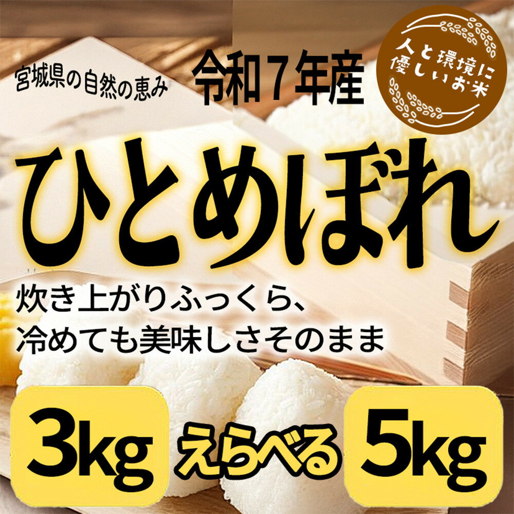 【ふるさと納税】【容