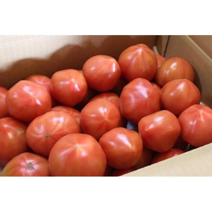 【ふるさと納税】訳あり　マイルドデリシャス4kg【2024年1月下旬以降発送分】 | 野菜 やさい tomato トマト