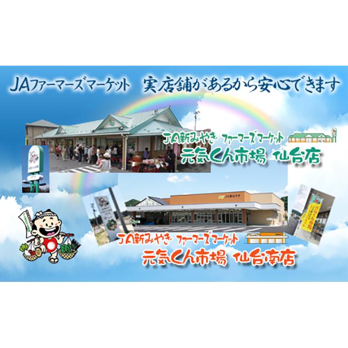 宮城県美里町の画像2