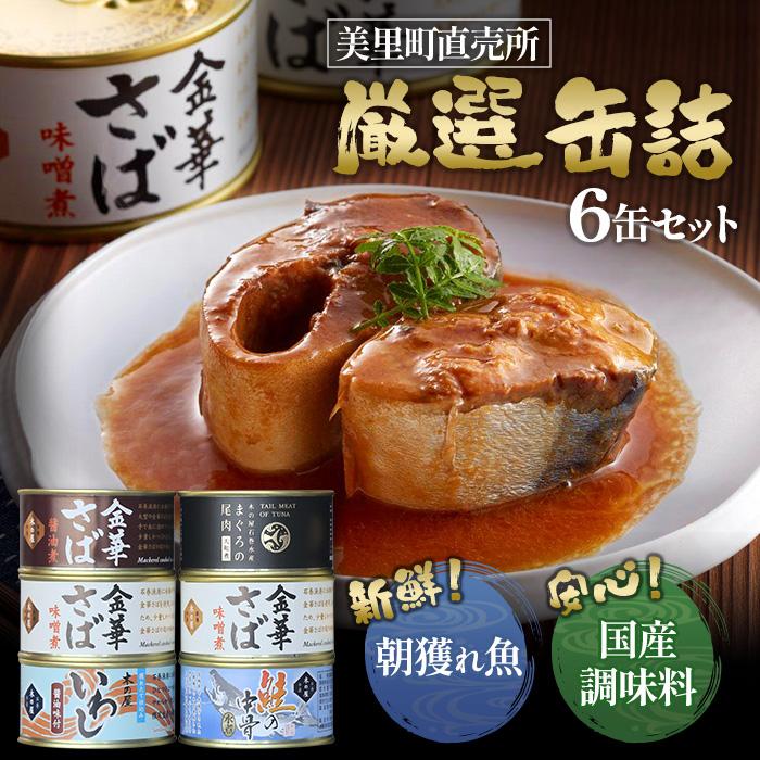 【ふるさと納税】魚 缶詰め 厳選 5種 6缶 詰め合わせ 木の屋石巻水産 | 缶詰 かんづめ 鯖 さば いわし 国産 ギフト セット 防災 長期保存 まぐろ 鮪 鮭 さけ しゃけ お取り寄せ グルメ 宮城県 美里町のサムネイル