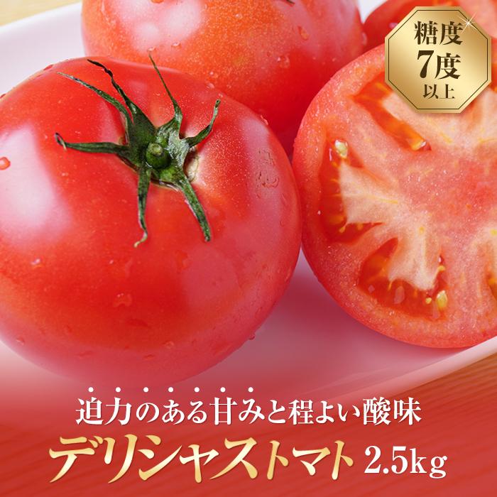 デリシャストマト2.5kg入り[2024年2月上旬以降発送分] | 野菜 やさい tomato トマト