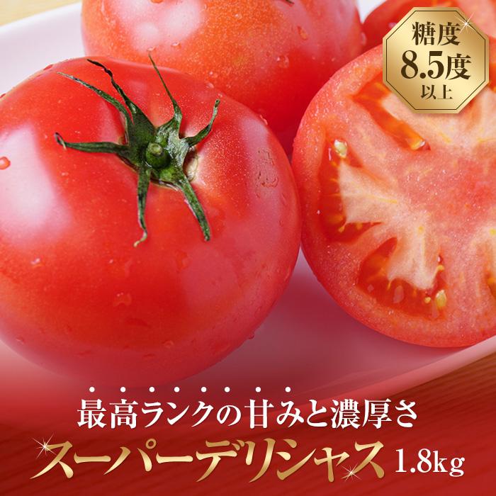 スーパーデリシャストマト1.8kg入り【2024年3月上旬以降発送分】 | 野菜 やさい tomato トマト