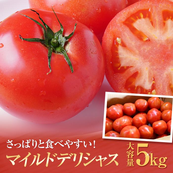 【ふるさと納税】訳あり　マイルドデリシャス4kg【2024年1月下旬以降発送分】 | 野菜 やさい tomato ト..