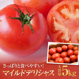 【ふるさと納税】訳あり　マイルドデリシャス4kg【2024年1月下旬以降発送分】 | 野菜 やさい tomato トマト