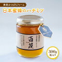 7位! 口コミ数「0件」評価「0」日本蜜蜂のハチミツ（300g） | 国産 宮城県産 ハチミツ ハニー 瓶入り 日本ミツバチ 二ホンミツバチ 非加熱 ギフト プレゼント 贈答･･･ 