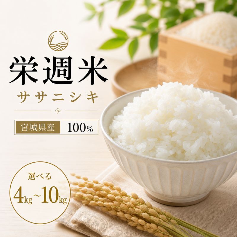 Sasanishiki - 【ふるさと納税】栄週米 ササニシキ（精米）＜選べる 4kg ／ 5kg／10kg ＞　/ 米 お米 ささにしき 精米 新米
