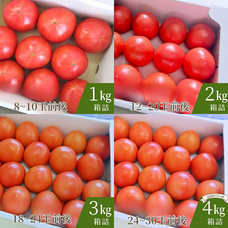 【ふるさと納税】トマト デリシャスファームのトマト (麗月) 【選べる容量】1kg 2kg 3kg 4kg 1キロ箱 2キロ箱 3キロ箱 4キロ箱 / とまと 野菜 産地直送 農家直送 れいげつ