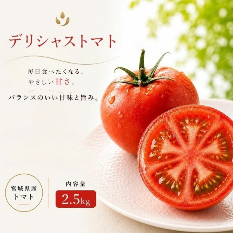 【ふるさと納税】【糖度7度以上！】デリシャストマト 2.5kg /とまと 野菜