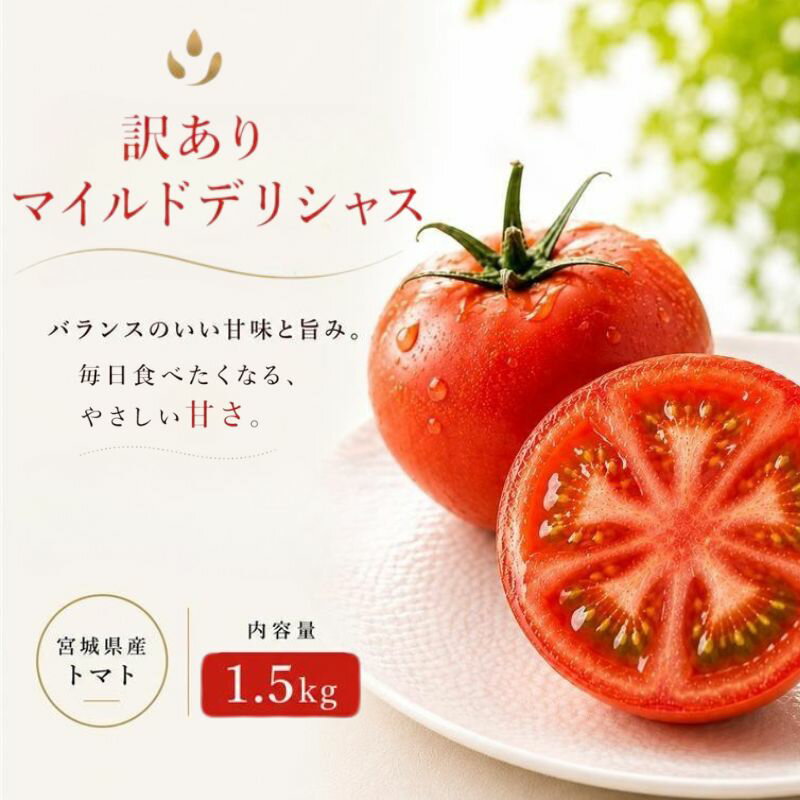 [訳あり]トマト デリシャスファームのトマト 訳ありマイルドデリシャス 1.5kg (6〜7玉) /とまと 野菜 産地直送 農家直送
