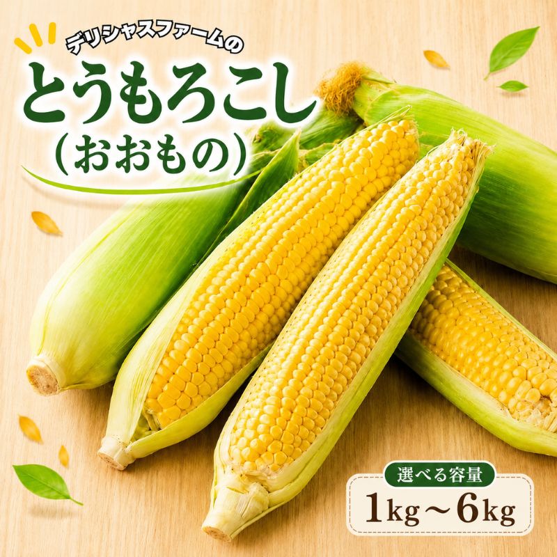 【ふるさと納税】とうもろこし【おおもの】【選べる容量】1kg 3kg 6kg / とうもろこし 野菜 産地直送 ...