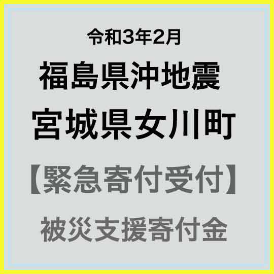 【ふるさと納税】【令和4年3月福島県沖地震被害寄付受付】宮城県女川町災害応援寄附金(返礼品はありません)