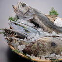 【ふるさと納税】季節の地魚4種詰合せ 刺身用 宮城県産【配送不可地域:離島】【1312827】