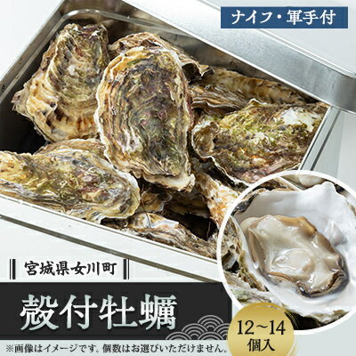 潮香焼セット(殻付・蒸し缶)ナイフ・軍手入【配送不可地域：離島・沖縄県・九州】【1312854】