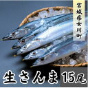 【ふるさと納税】生さんま 15尾【配送不可地域:離島・北海道・沖縄県・信越、北陸・近畿・中国・四国・九州】【1642728】
