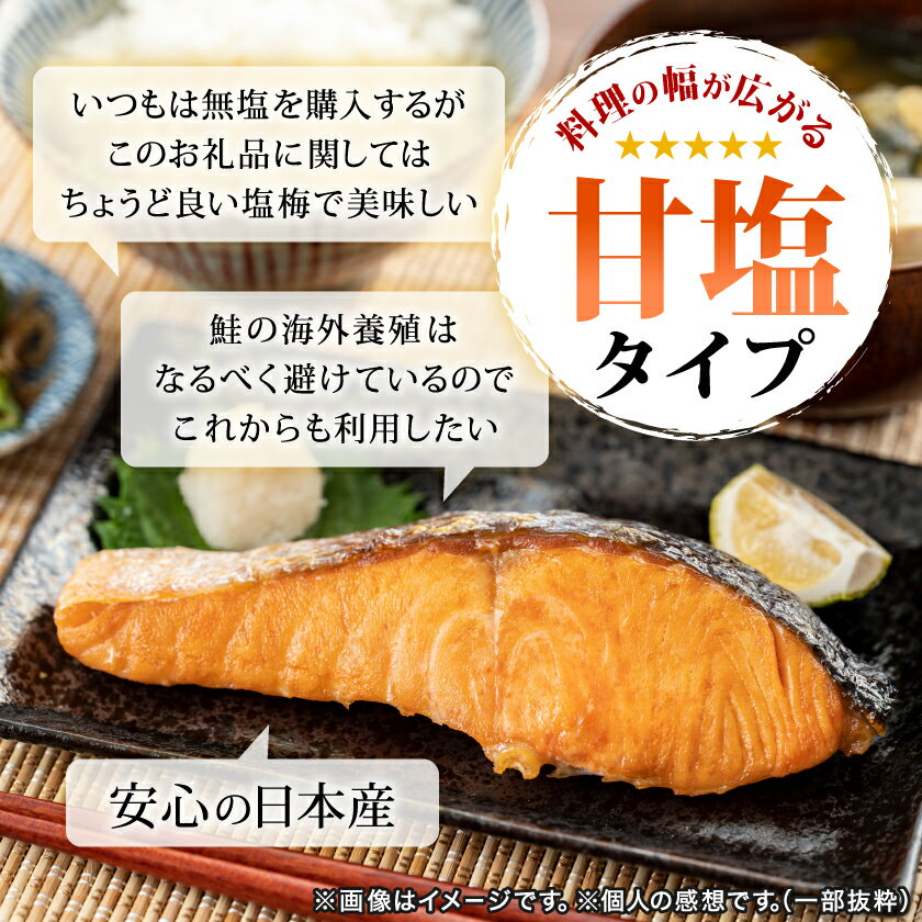 【ふるさと納税】訳あり　銀鮭　宮城県産　甘塩　切身　約1.5kg　国産　/　宮城県　女川町_ 鮭 サーモン 銀鮭 訳あり 甘塩 切身 魚 海鮮 宮城県 女川町 美味しい 人気 おすすめ 送料無料 【配送不可地域：離島】【1525306】