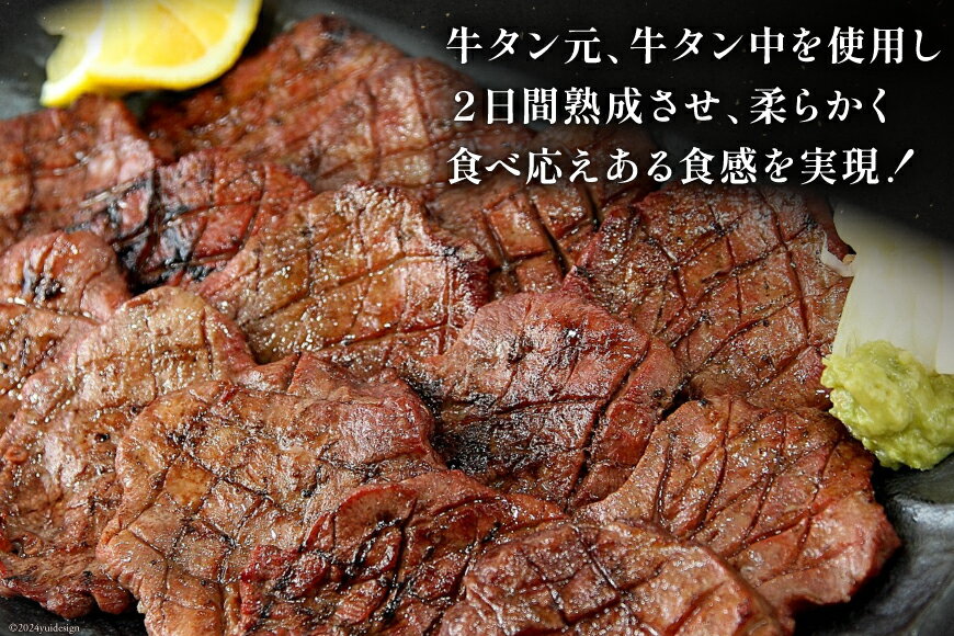 【ふるさと納税】 牛肉 佐利の牛タン 厚切 塩味 440g (220g×2p) [佐利 宮城県 南三陸町 30ag0004] 精肉 肉 牛肉 牛たん 牛タン ぎゅうたん タン タン塩 厚切り 味付き 肉 牛 冷凍 焼肉 焼き肉 BBQ アウトドア 小分け 冷凍