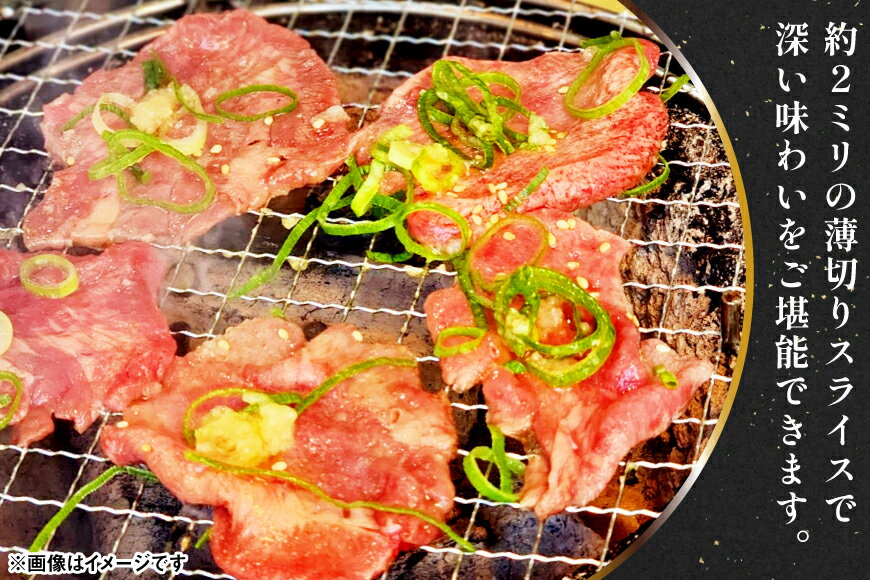 【ふるさと納税】 訳あり 赤身 牛たん 塩味 たん先 約500g 2p 1kg [佐利 宮城県 南三陸町 m304amh580023] 牛タン たん タン 小分け 肉 焼き肉 焼肉 塩タン 塩たん タン塩 たん塩