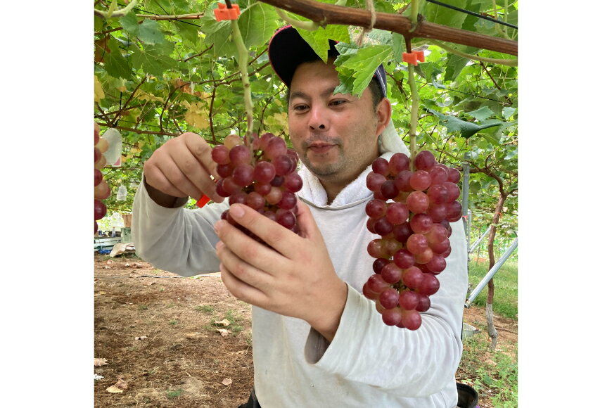 宮城県南三陸町の画像3