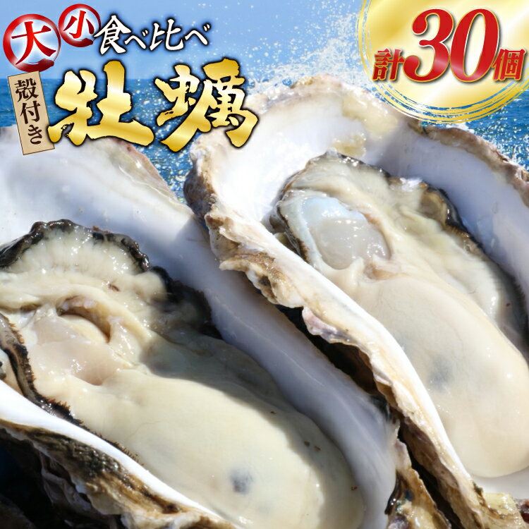 [期間限定発送] 殻付き 牡蠣 計30個 2種(三陸ジオイスター & OMAKI ) 食べ比べ セット 各15個 牡蠣ナイフ付 [Geoyst 宮城県 南三陸町 m304bdz670000] かき カキ オイスター 生牡蠣 真牡蠣