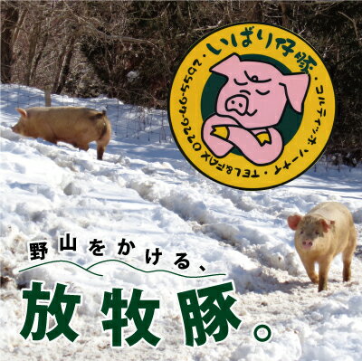【ふるさと納税】シェフもおすすめ「日本で一番おいしい豚肉！」★いばり仔豚★ソーセージ＆ベーコン＆ハム詰め合わせコース　【お肉・豚肉・ソーセージ・ボンレスハム・ベーコン・ウィンナー・詰合せ・加工品・ポーク】