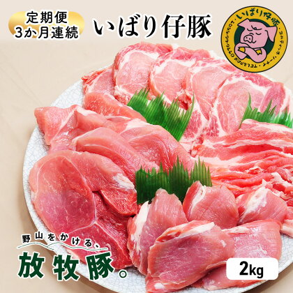 【定期便 3か月連続】シェフもおすすめ「日本で一番おいしい豚肉！」★いばり仔豚★4種の部位＜ロース・バラ・もも・カタスライス各500g＞詰め合わせ♪フレッシュ豚肉2kgコース　【定期便・お肉・ロース・豚肉・バラ・モモ・3ヶ月・3回】
