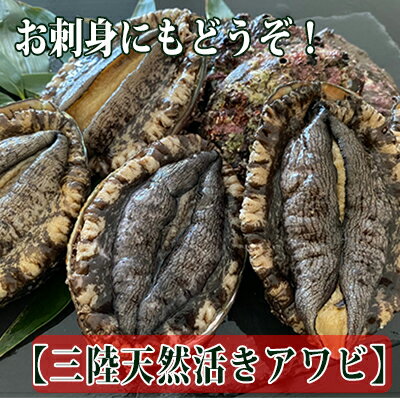 三陸天然活アワビLサイズ900g（5〜6個入）刺身 ステーキ　【魚介類・あわび・アワビ・鮑・1kg】