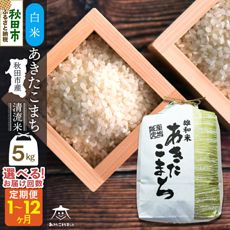 あきたこまち 清流米 5kg 秋田市雄和産【白米】【選べるお届け回数(1回～定期便) 】