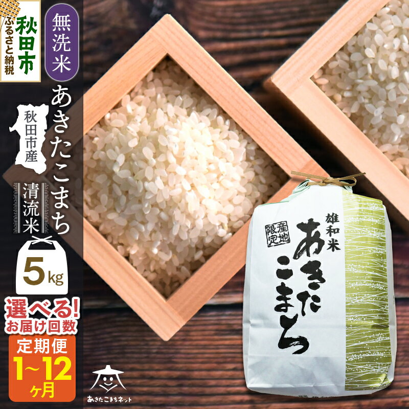 あきたこまち 清流米 5kg 【無洗米】秋田市雄和産【選べるお届け回数(1回～定期便) 】