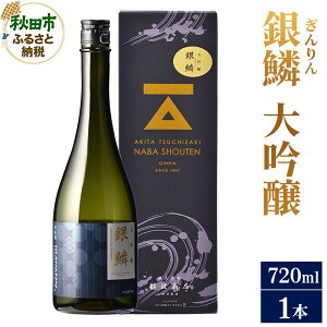 【ふるさと納税】日本酒 銀鱗(ぎんりん)大吟醸 720ml×1本