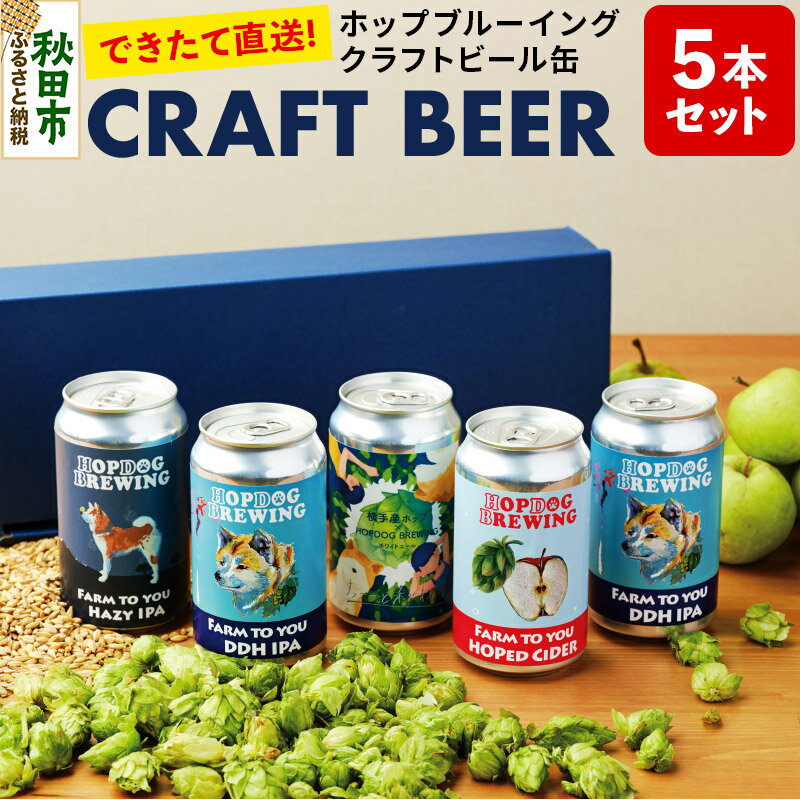 【ふるさと納税】【できたて直送!】クラフトビール缶 5本セット【ホップドッグブルーイング】