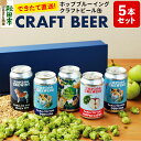 【ふるさと納税】【できたて直送！】クラフトビール缶 5本セット【ホップドッグブルーイング】