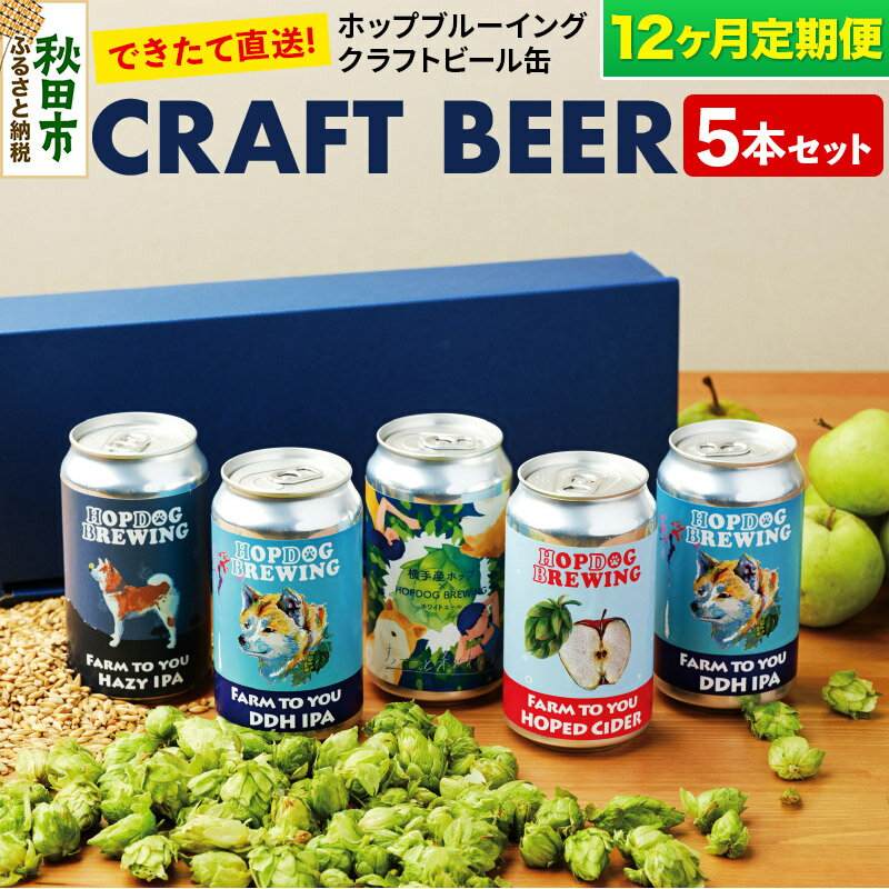 【ふるさと納税】《定期便12ヶ月》クラフトビール缶 毎月5本セット【ホップドッグブルーイング】