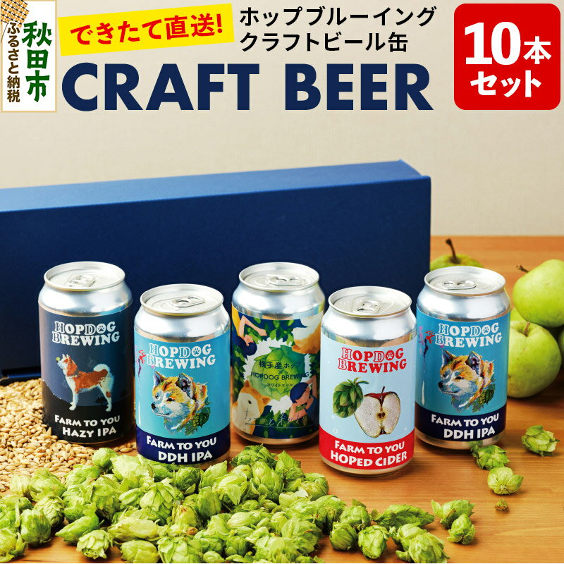 【ふるさと納税】【できたて直送!】クラフトビール缶 10本セット(5本セット×2箱)【ホップドッグブルーイング】
