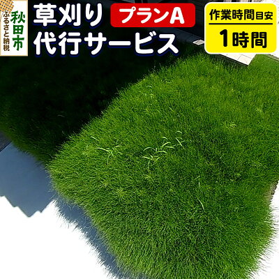 楽天ふるさと納税　【ふるさと納税】草刈代行サービス プランA(作業目安：1時間) リモートで楽々メンテナンス！【秋田県秋田市】