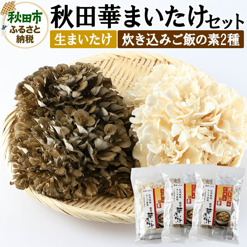 【ふるさと納税】秋田華まいたけ 生まいたけと加工セット 黒まいたけ 約500g 白まいたけ 約500g 炊き込みご飯の素 黒×2パック 炊き込みご飯の素 白×1...